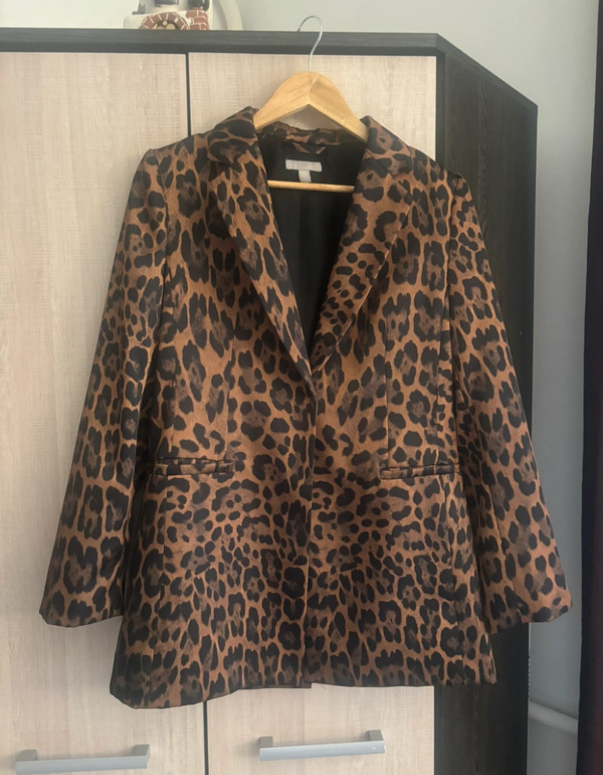 Leopard Print H&M Blazer
